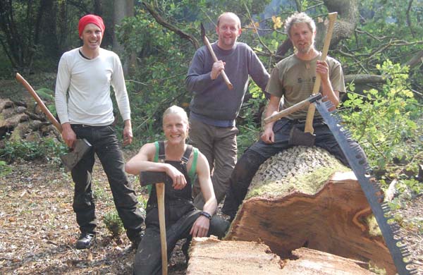 felling a tree with an axe